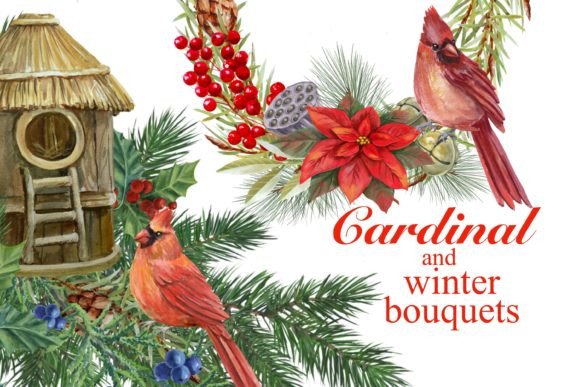 Red Cardinal,Christmas Wreaths, Winter Illustrations Review
